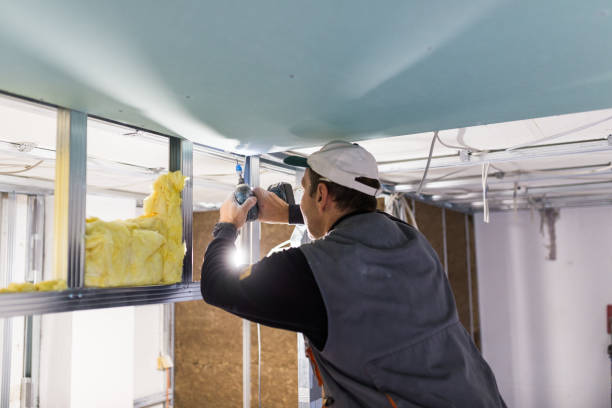 Professional Insulation Contractor in Five Points, NC