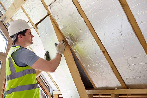 Best Insulation Inspection Services  in Five Points, NC