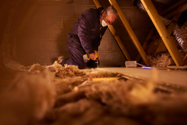Best Insulation Contractors for Homes  in Five Points, NC