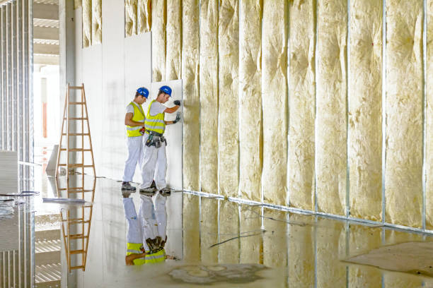 Best Blown-in Insulation  in Five Points, NC